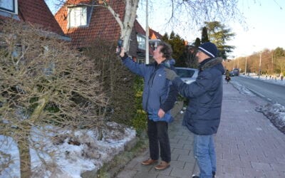 Warmtebeelden in de ijskou